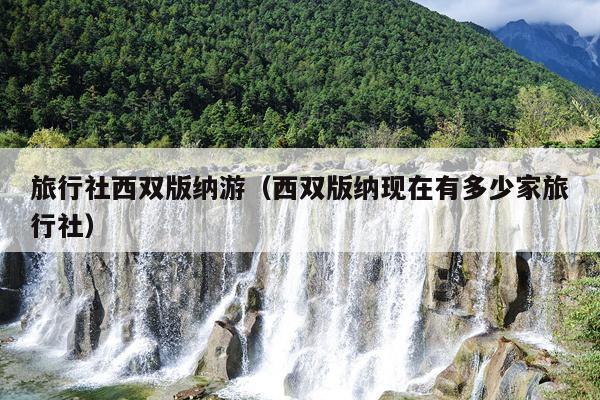 旅行社西双版纳游（西双版纳现在有多少家旅行社）