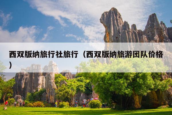 西双版纳旅行社旅行（西双版纳旅游团队价格）
