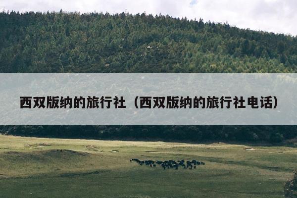 西双版纳的旅行社（西双版纳的旅行社电话）