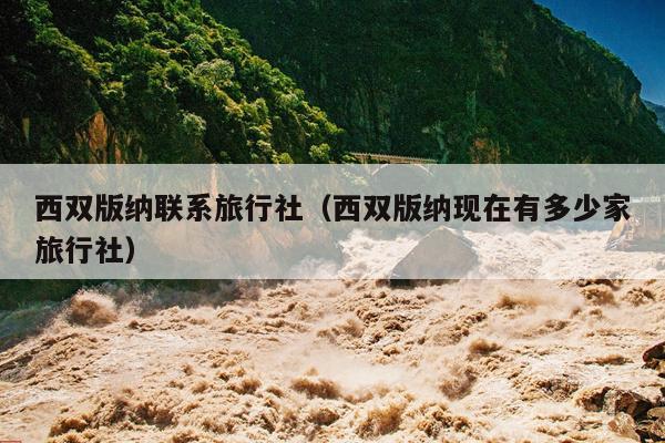 西双版纳联系旅行社（西双版纳现在有多少家旅行社）
