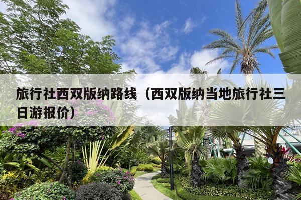 旅行社西双版纳路线（西双版纳当地旅行社三日游报价）