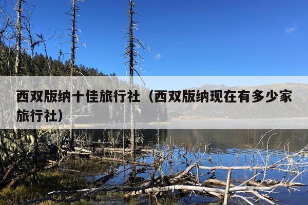 西双版纳十佳旅行社（西双版纳现在有多少家旅行社）