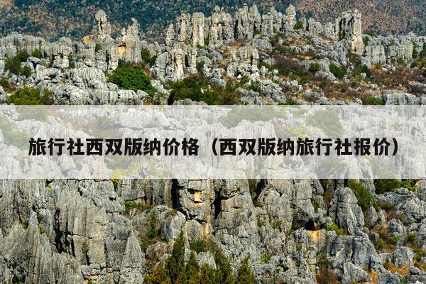 旅行社西双版纳价格（西双版纳旅行社报价）