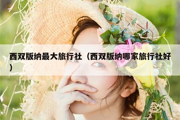 西双版纳最大旅行社（西双版纳哪家旅行社好）