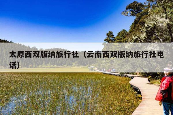 太原西双版纳旅行社（云南西双版纳旅行社电话）