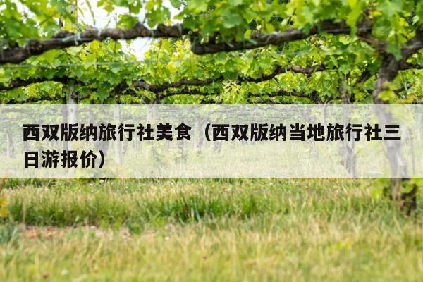 西双版纳旅行社美食（西双版纳当地旅行社三日游报价）