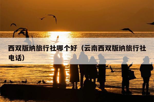 西双版纳旅行社哪个好（云南西双版纳旅行社电话）