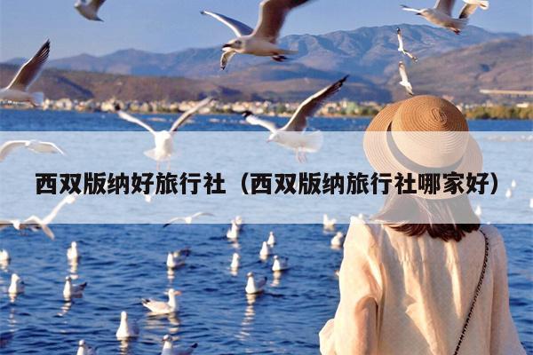 西双版纳好旅行社（西双版纳旅行社哪家好）