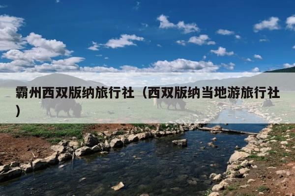 霸州西双版纳旅行社（西双版纳当地游旅行社）