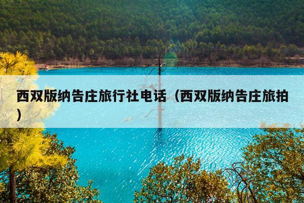 西双版纳告庄旅行社电话（西双版纳告庄旅拍）