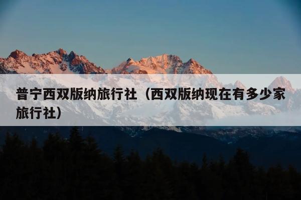 普宁西双版纳旅行社（西双版纳现在有多少家旅行社）