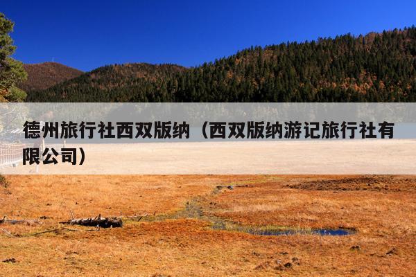 德州旅行社西双版纳（西双版纳游记旅行社有限公司）