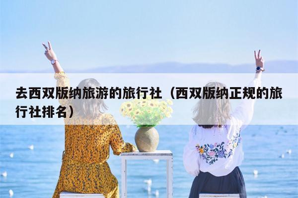 去西双版纳旅游的旅行社（西双版纳正规的旅行社排名）