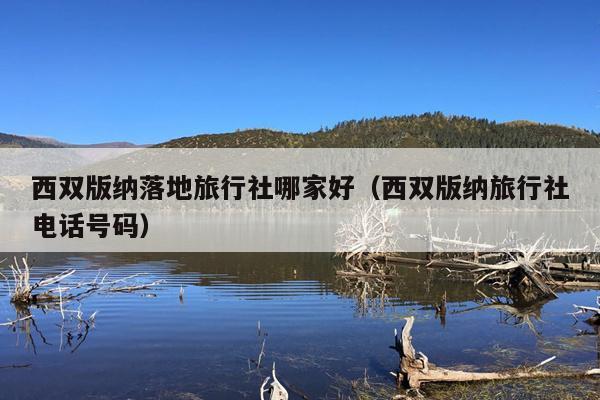 西双版纳落地旅行社哪家好（西双版纳旅行社电话号码）