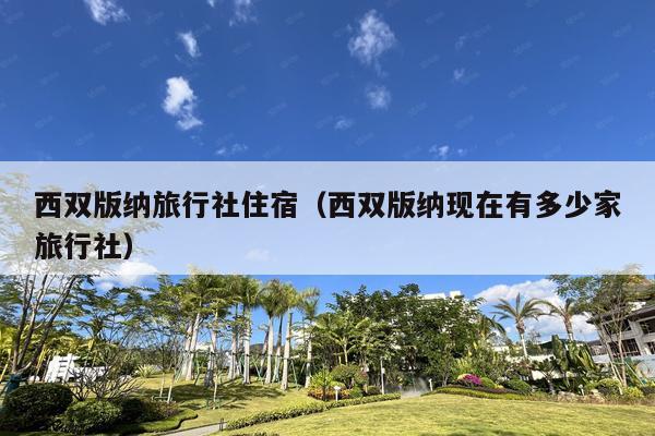 西双版纳旅行社住宿（西双版纳现在有多少家旅行社）