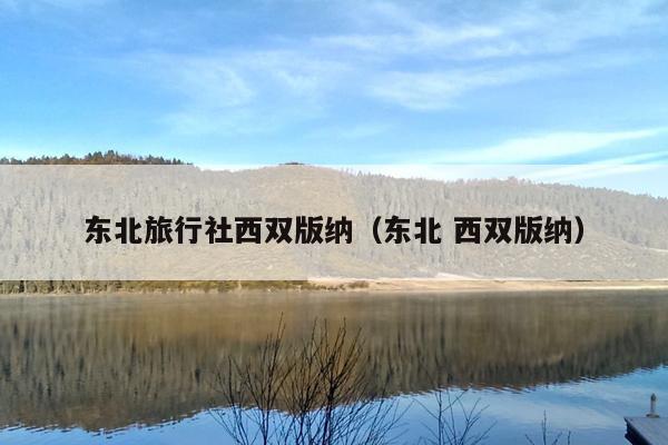 东北旅行社西双版纳（东北 西双版纳）