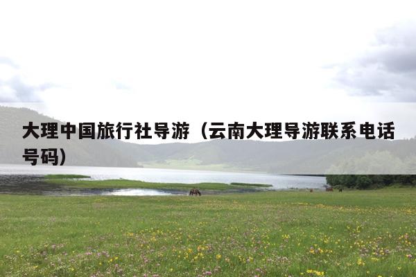 大理中国旅行社导游（云南大理导游联系电话号码）