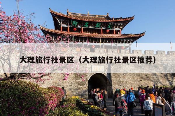 大理旅行社景区（大理旅行社景区推荐）