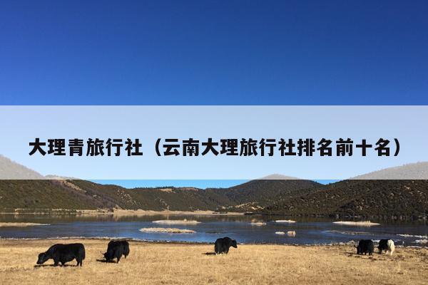 大理青旅行社（云南大理旅行社排名前十名）