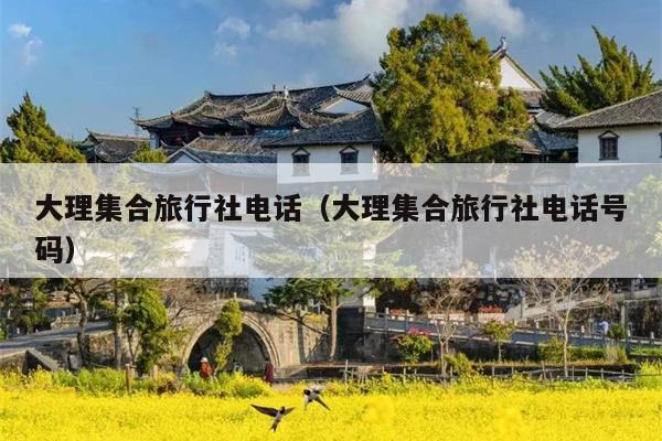 大理集合旅行社电话（大理集合旅行社电话号码）