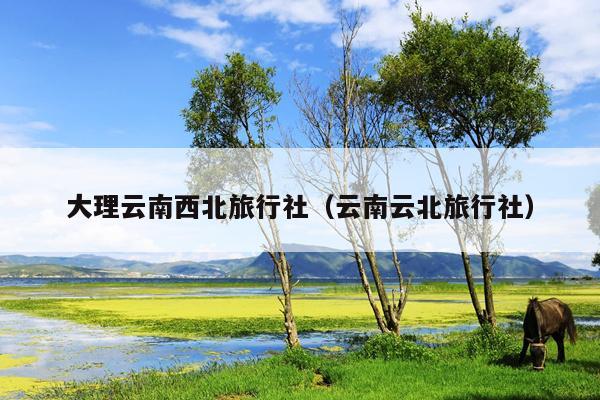 大理云南西北旅行社（云南云北旅行社）