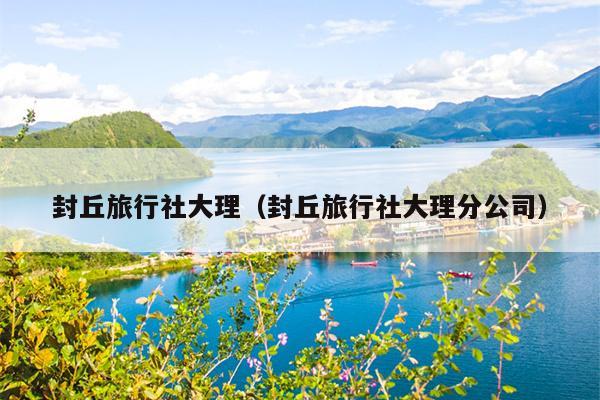 封丘旅行社大理（封丘旅行社大理分公司）
