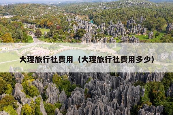 大理旅行社费用（大理旅行社费用多少）