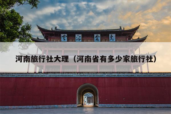 河南旅行社大理（河南省有多少家旅行社）