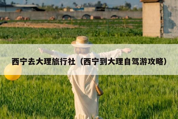 西宁去大理旅行社（西宁到大理自驾游攻略）