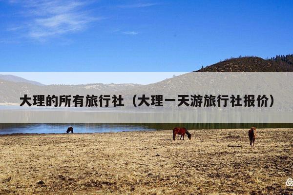 大理的所有旅行社（大理一天游旅行社报价）