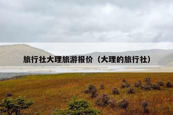 旅行社大理旅游报价（大理的旅行社）
