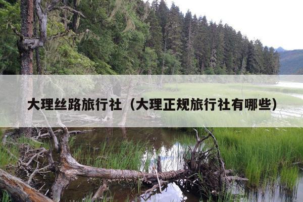 大理丝路旅行社（大理正规旅行社有哪些）