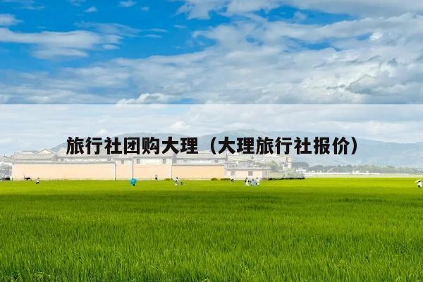 旅行社团购大理（大理旅行社报价）