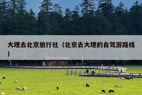 大理去北京旅行社（北京去大理的自驾游路线）