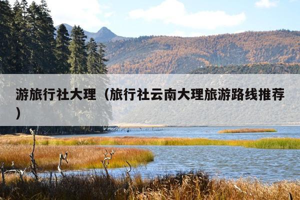 游旅行社大理（旅行社云南大理旅游路线推荐）
