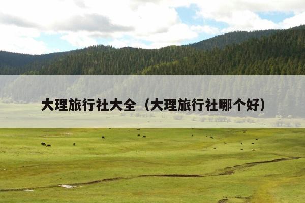 大理旅行社大全（大理旅行社哪个好）