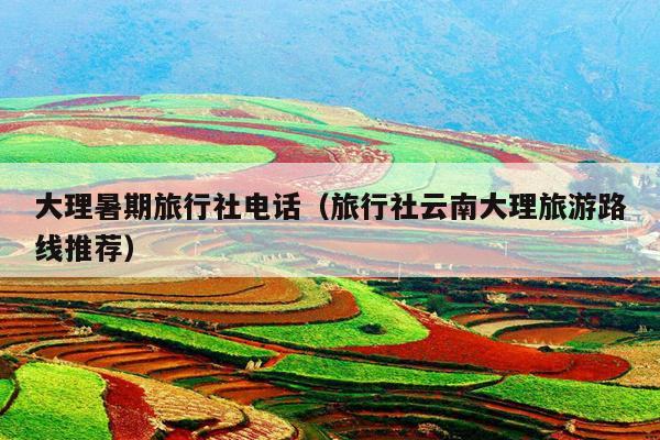 大理暑期旅行社电话（旅行社云南大理旅游路线推荐）