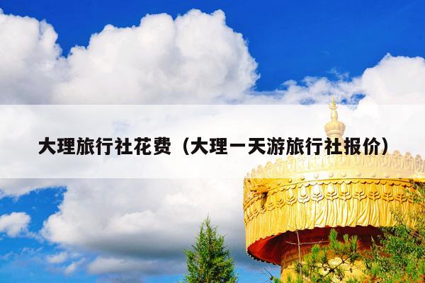大理旅行社花费（大理一天游旅行社报价）
