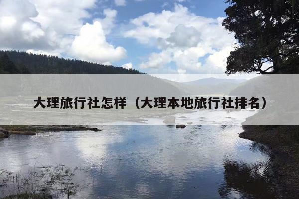 大理旅行社怎样（大理本地旅行社排名）