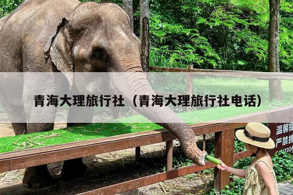 青海大理旅行社（青海大理旅行社电话）
