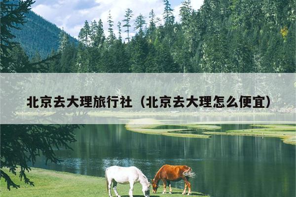 北京去大理旅行社（北京去大理怎么便宜）