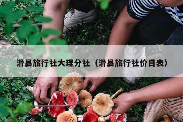滑县旅行社大理分社（滑县旅行社价目表）